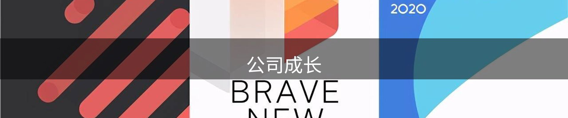 公司成长