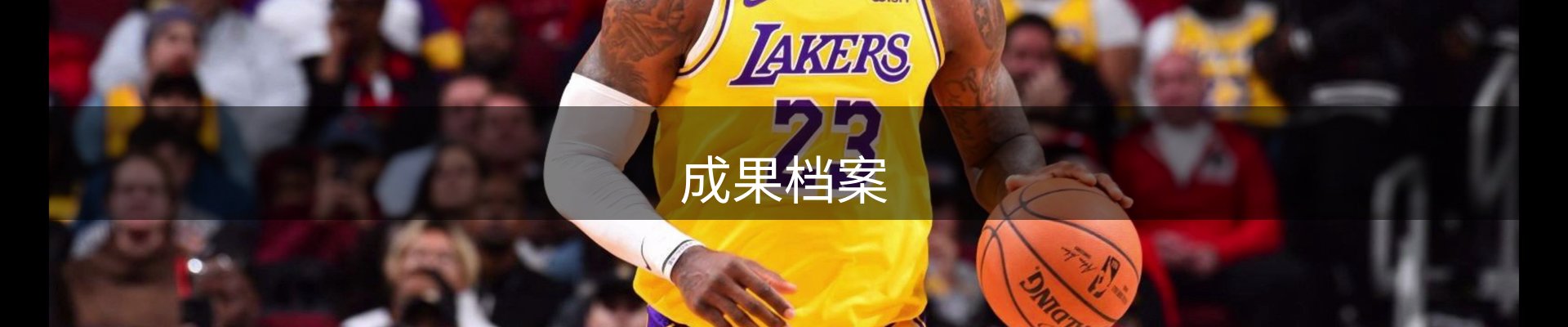 成果档案